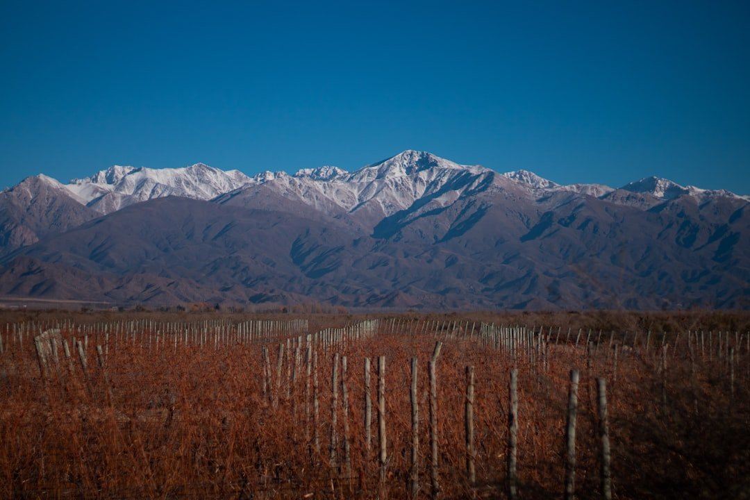 Maipo Valley: Perjalanan Mencicipi Wine Terbaik Dunia