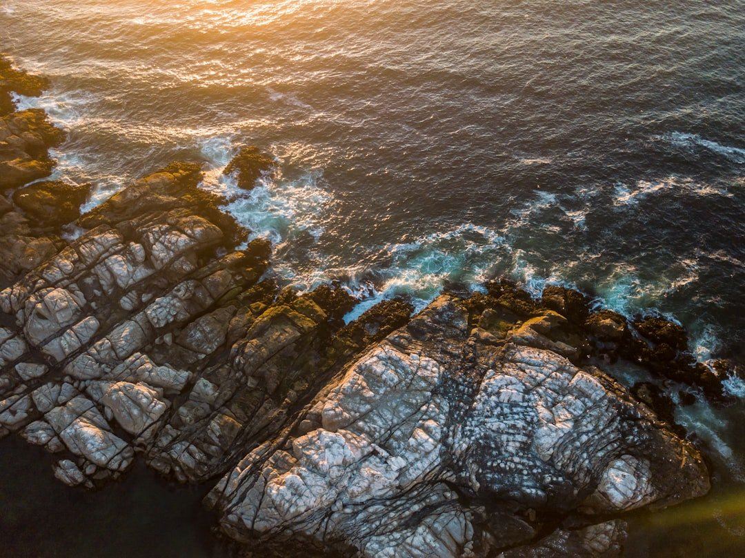 Viña del Mar: Monaco-nya Amerika Selatan